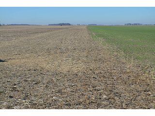 Tract 3 - FARMLAND AUCTION - 165.5+/- ACRES OFFERED IN 5 TRACTS OR COMBINATIONS IN EAST ALLEN COUNTY